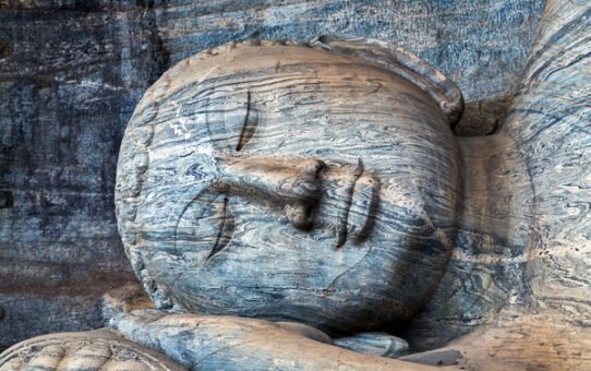 The Types of Perfections