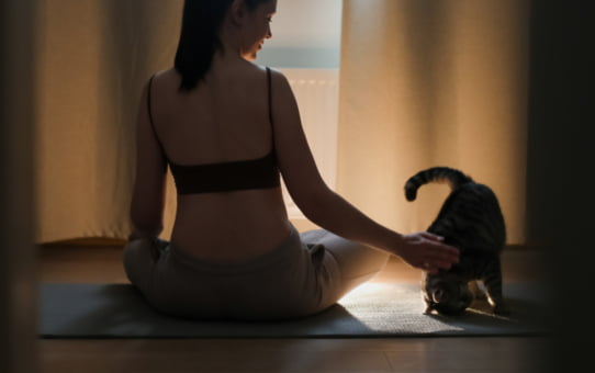 Buddha's love and compassion towards animals