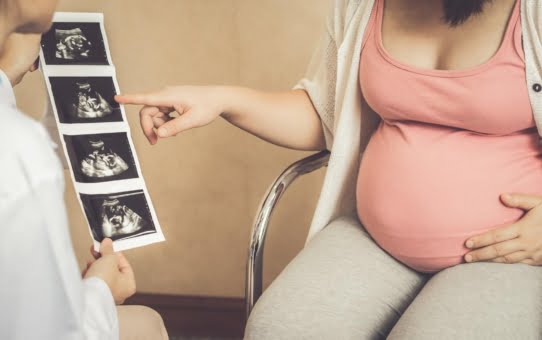 Does life begin at conception?