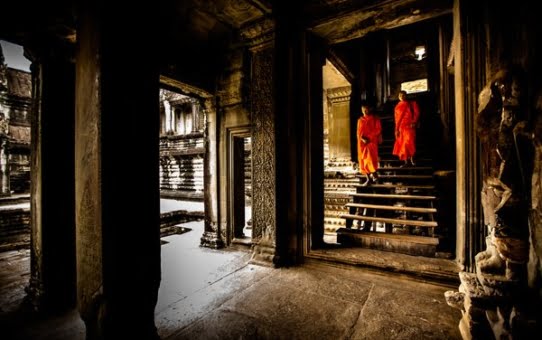 Understanding the True Nature of Buddhism
