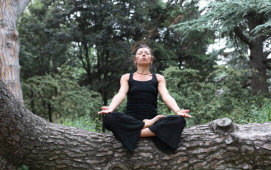 Five Profound Insights Unveiled Through Deep Meditation