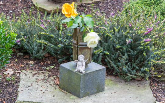 Embracing Life: The Transformative Power of Contemplating Death