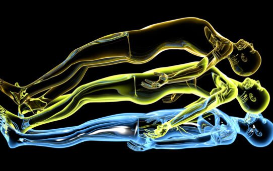 Understanding Rebirth vs. Reincarnation in Theravada Buddhism